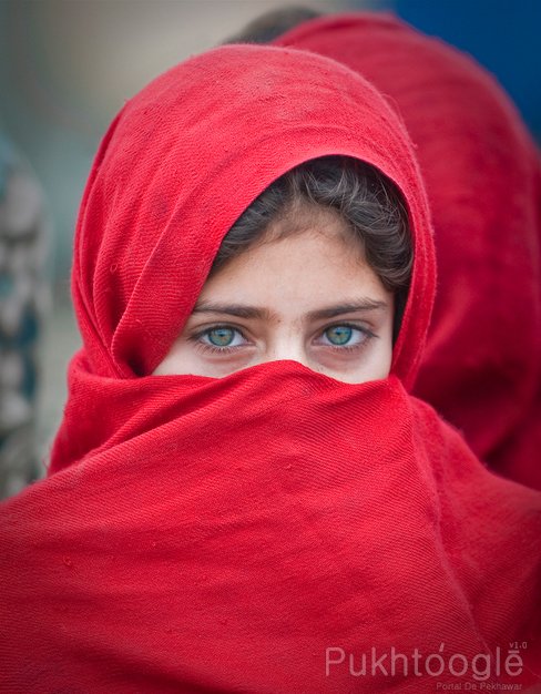 Girl photo beautiful pashto 